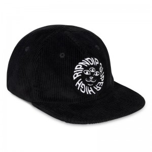 Black Ripndip Kinetic Field 6 Panel Corduroy Strapback Hats | USAAP2956