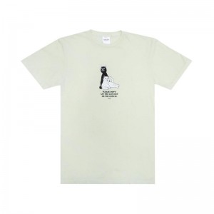 Light Green Ripndip Keep The Cats In Shirts | USAVD2757